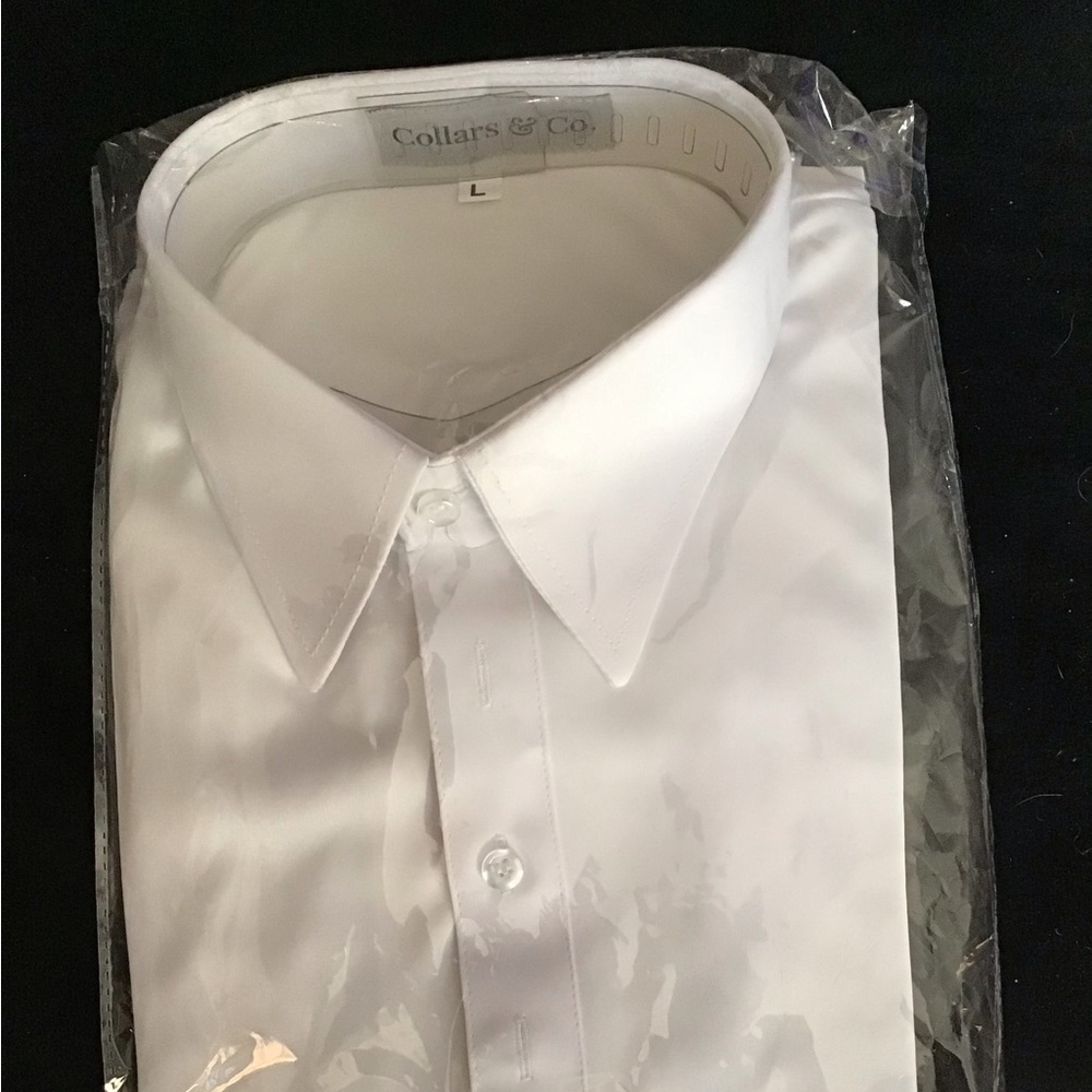 Collars & Co dress collar polo